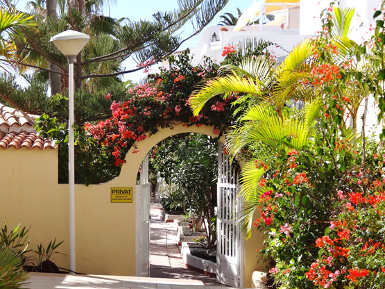 Ferienappartement geschlossene Anlage Fuerteventura