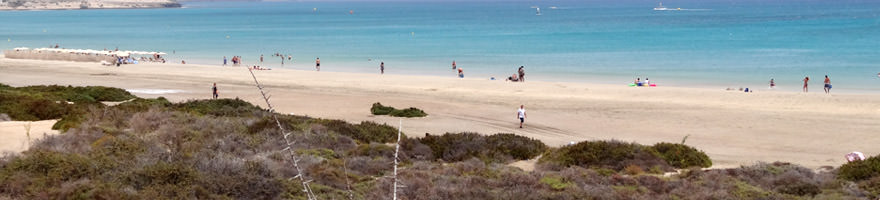 Strand Fuerteventura Costa Calma Urlaub